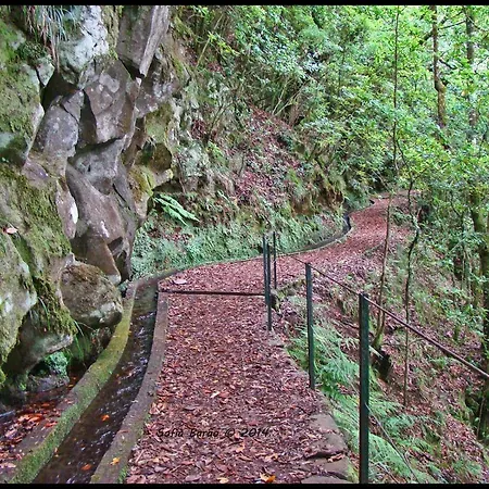 Pereira Place アパート