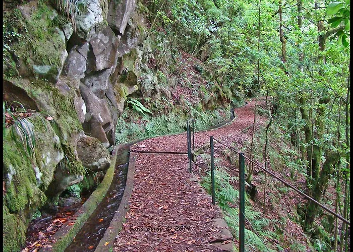 Pereira Place Апартаменты