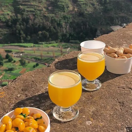 Pereira Place Lejlighed